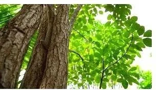 പൊലീസ് കേസെടുത്തു