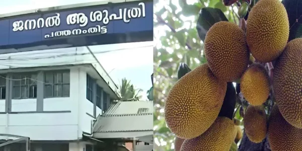 മരുന്നിന് വരിനിന്ന രോഗിയുടെ തലയിൽ ചക്കവീണു