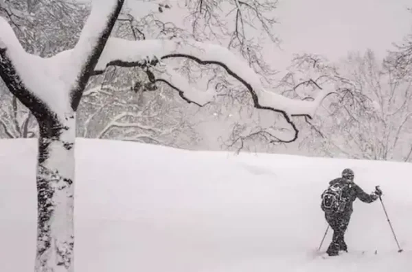 അഞ്ച് ലക്ഷം വീടുകളിൽ വൈദ്യുതിയില്ല