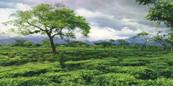 പശ്ചിമ ബംഗാളിലെ മുർഷിദാബാദിൽ സംഘർഷം: രാമനവമി ഘോഷയാത്രയ്ക്കിടെ അക്രമം, നിരോധനാജ്ഞ പ്രഖ്യാപിച്ചു
